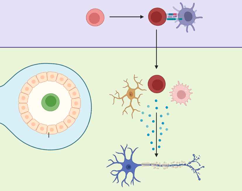 Antigen Specific Autoreactive T Cell Responses Targeting The Central Nervous System Excellence